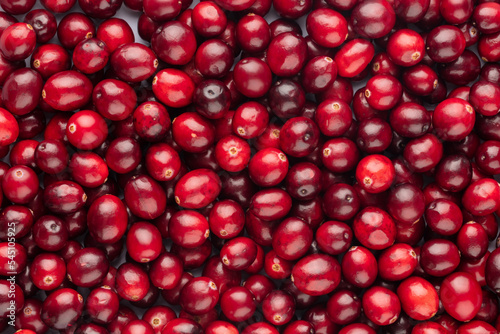 Cranberry bio background  food background.