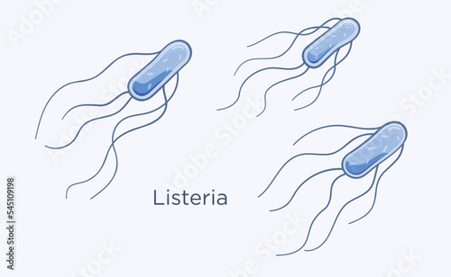 Listeria outbreak vector illustration drawing in cartoon style. Listeriosis infection concept. Set of three listeria monocytogenes.