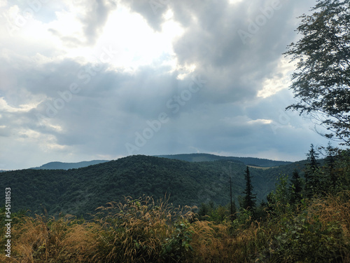 landscape with clouds  mountains  forest in midday