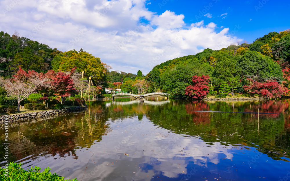 Fototapeta premium 秋晴れの薬師池公園 水辺の紅葉(東京都町田市)