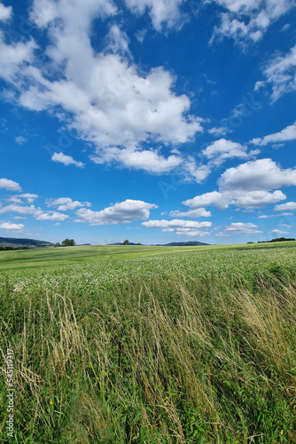 Beautiful rural green fields with blue skies and white clouds.