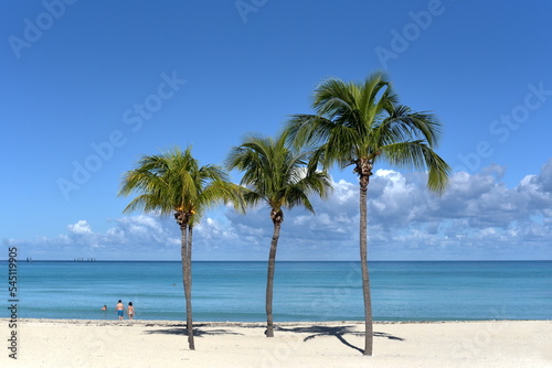 Idyllic tropical beach with palm trees, white sand and blue water.