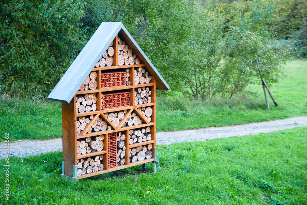 Wooden insect hotel, habitat for bugs and bees, rescue house, environment and ecology conversation, protect wildlife
Wooden insect hotel, habitat for bugs and bees, rescue house, environment and ecology conversation, protect wildlife