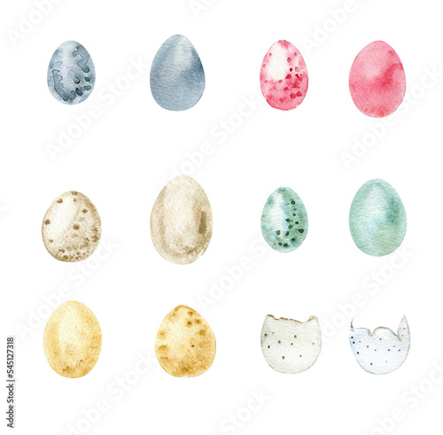 Hand drawn watercolor Easter eggs set . Different egg color.  It's perfect for greeting cards, wedding invitation, birthday and Easter, Spring cards. Watercolor botanical illustration isolated 