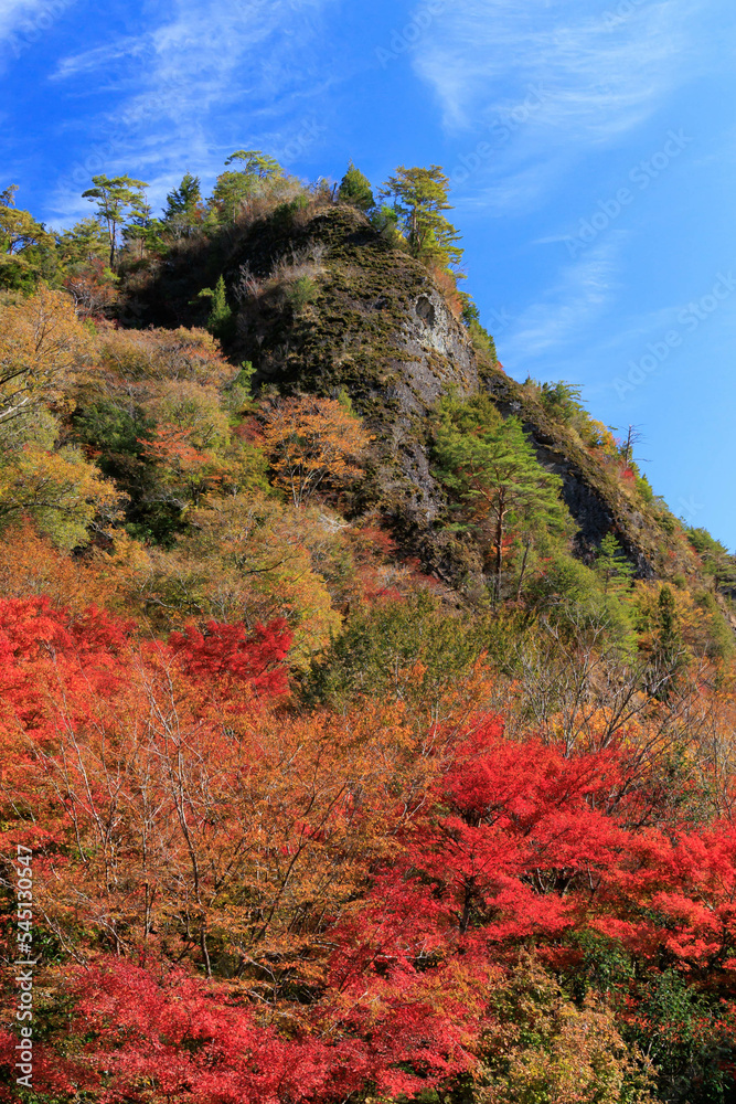 紅葉と岩山