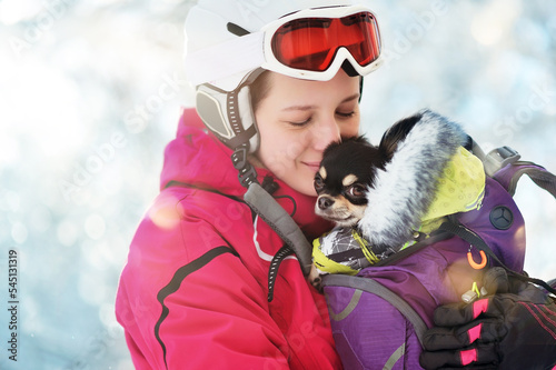 Close-up picture of a young woman in a skiing helmet with her kittle chihuahua photo
