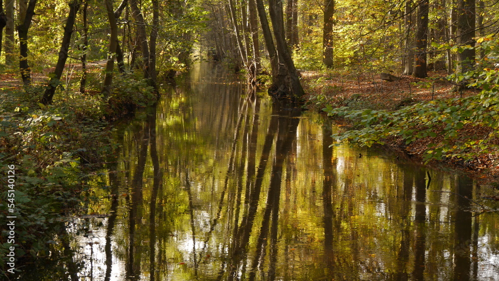 Fototapeta premium Naherholungsgebiet, Naturschutzgebiet, Wanderweg an der Schwalm, Nähe niederländische Grenze