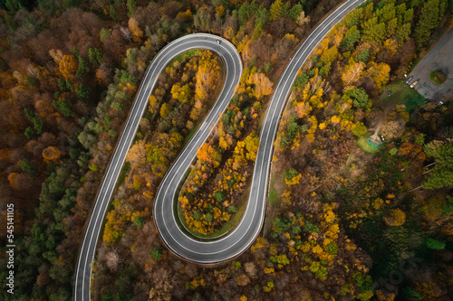 Fototapeta Naklejka Na Ścianę i Meble -  Colourful winding road with many curves surrounded by a deciduous woodland with pine trees. Aerial view looking down in europe.