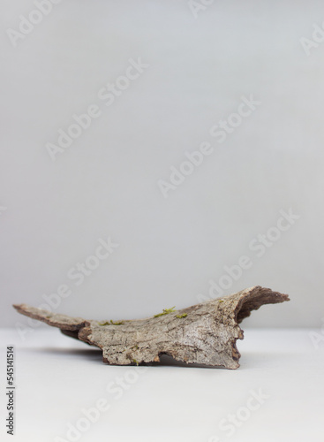 empty bark of tree podium minimalism on grey background. Copy space, place for text. vertical photo