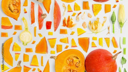 Pumpkin vegetable pieces, slices and leaves being moved isolated on white. Seamless looping. High quality 4k video.