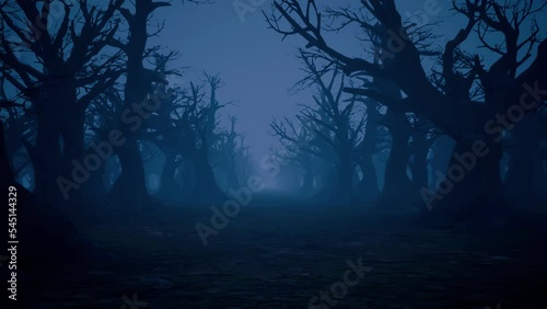 Moving through a haunted forest at night with bare trees and heavy fog.