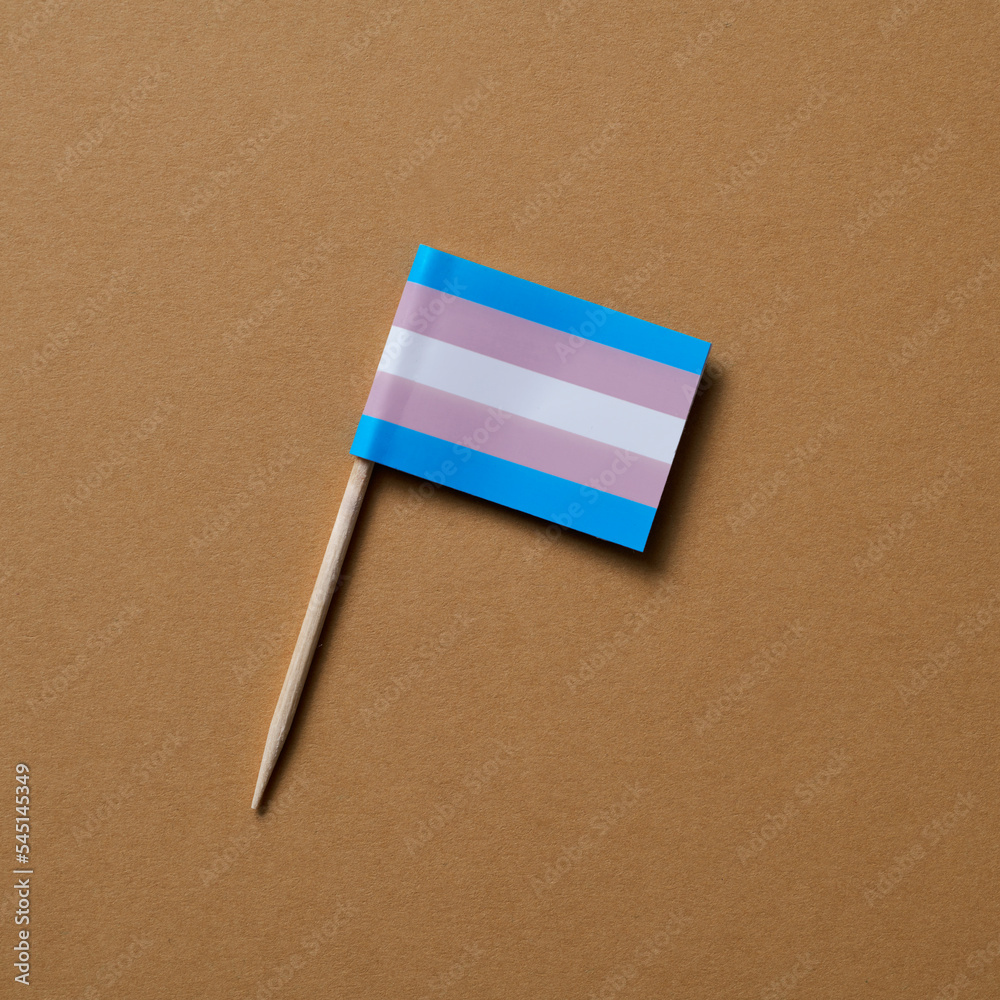 transgender pride flag on a brown background - obrazy, fototapety, plakaty 