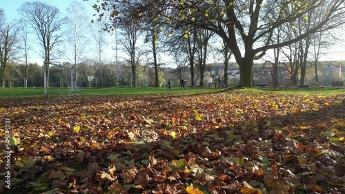 Wallpaper Mural Es ist Herbst Torontodigital.ca