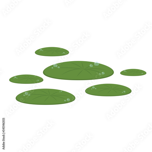 Drop of water on Lily pad. Lily pad vector. wallpaper. free space for text.