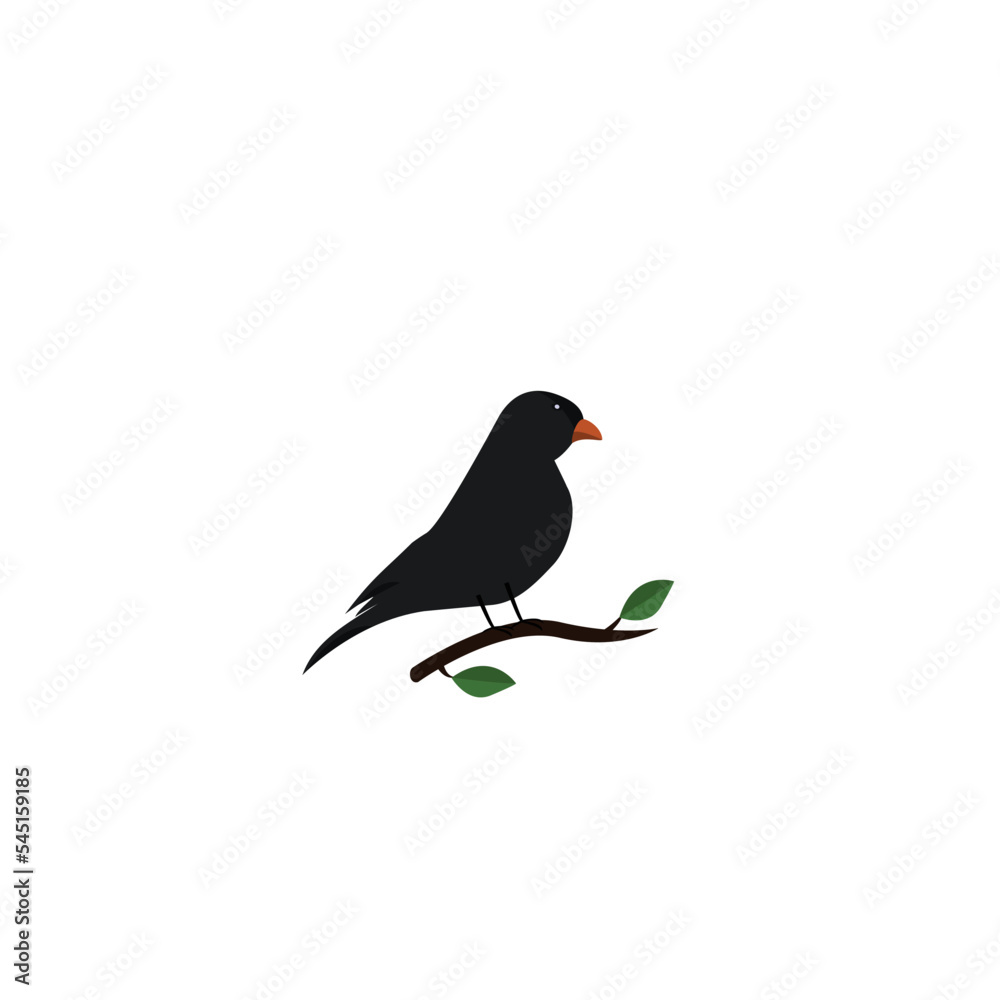 Fototapeta premium the vector bird illustration samyong