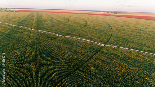 Plantação de Milho e Sorgo