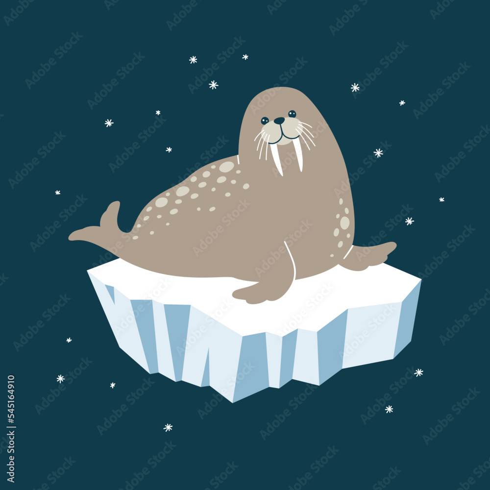 Fototapeta premium Vector illustration of a cute walrus on an iceberg