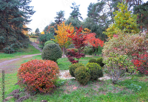 Picturesque autumn landscape in Hryshka National Botanical Garden of the National Academy of Sciences of Ukraine in Kyiv	 photo