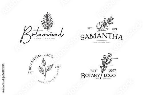 Fototapeta Naklejka Na Ścianę i Meble -  Botanical logo kit pack, botanical logo, logos, botanical branches