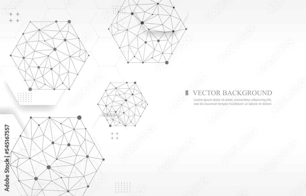 Obraz premium white vector background geometric hexagon line concept