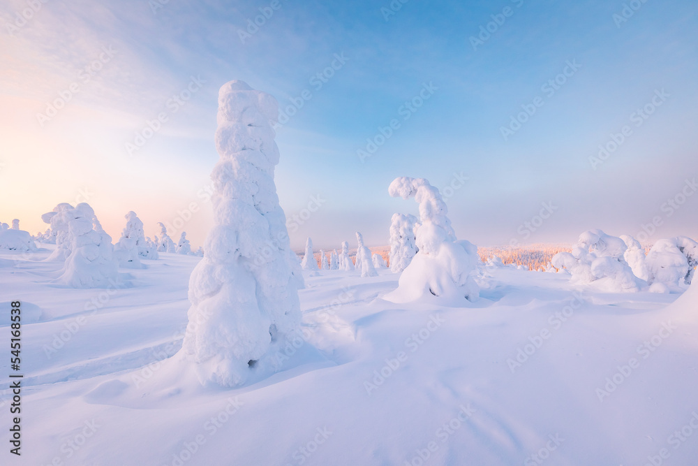 snow covered trees