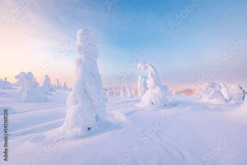 Obraz na płótnie snow covered trees w salonie