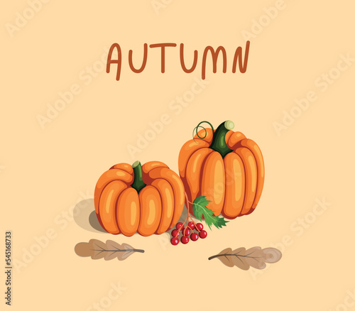 Autumn. Pumpkins, viburnum and autumn leaves