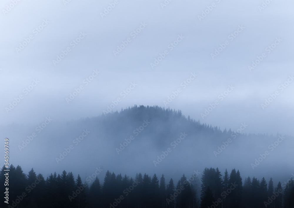 Mountain surrounded by fog and pine trees