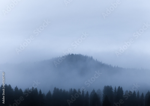 Mountain surrounded by fog and pine trees