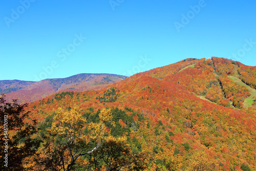 志賀高原の秋色の山々