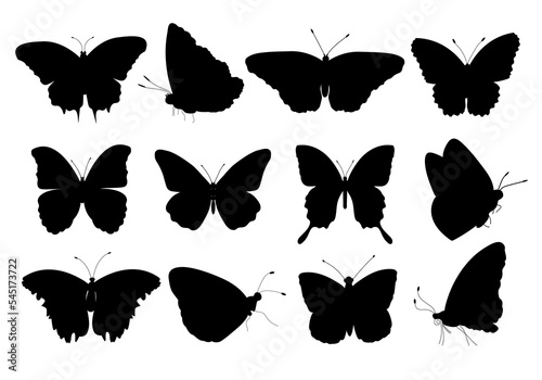 Set of silhouettes of butterflies. Exotic tropical insects black icons.