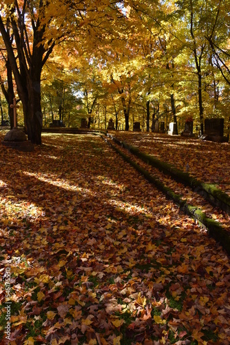 A cemetery in the fall, Saint-Pierre, Québec, Canada