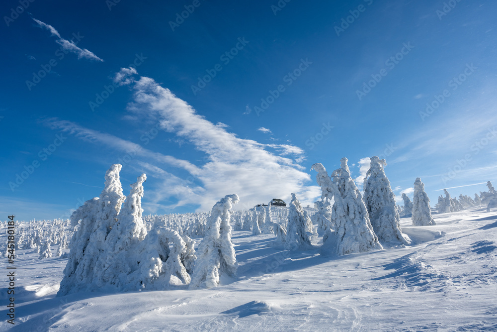 winter in Giant mountains in Poland
