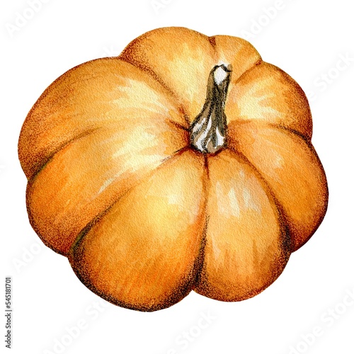 Bright Orange pumpkin with a twig, top view, watercolor illustration