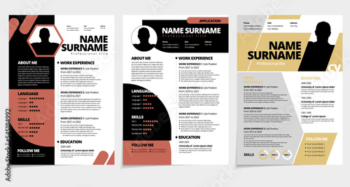 Resume design template minimalist cv. Business layout vector for job applications. A4 size.
