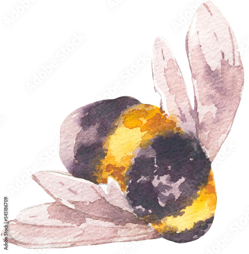 Watercolor Bee Transparent PNG
