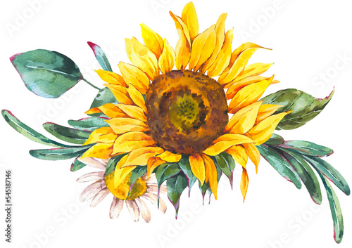 Sunflower Watercolor Botanical Flower Transparent PNG
