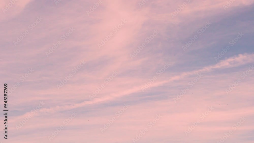 Tender Blue Sky with Pink Peach Light Cirrus Clouds at Dawn, Slow Motion, Time Lapse. Beautiful Sunrise Skyscraper with High Colored Clouds, Beauty, Relax, Background 4K. Tender Blue Sky with Pink Peach Light Cirrus Clouds at Dawn, Slow Motion, Time Lapse. Beautiful Sunrise Skyscraper with High Colored Clouds, Beauty, Relax, Background 4K.