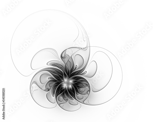 Fractal flower on a white background. Black and white image