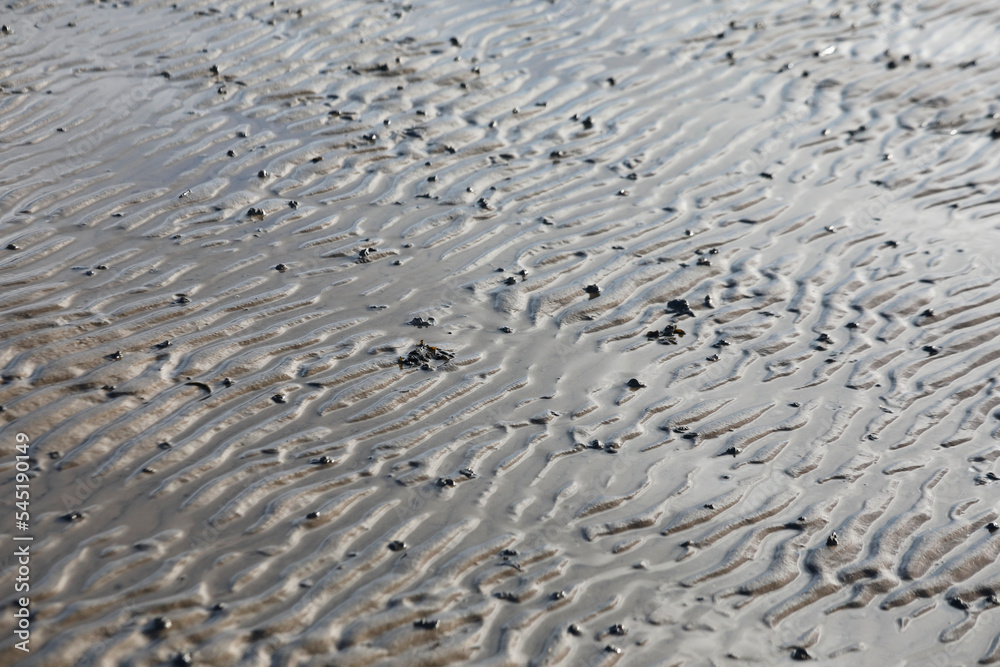 Low tide, North Sea beach with wavy seabed, close up. Low tide, North Sea beach with wavy seabed, close up.