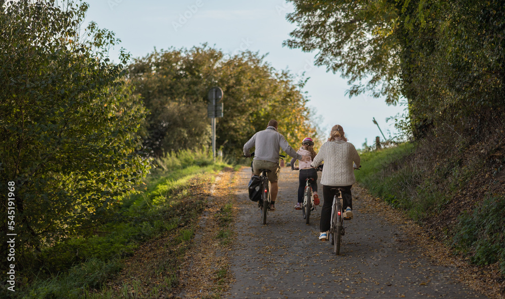 Family enjoying bike ride in park. Weekend bike riding. Family enjoying bike ride in park. Weekend bike riding.