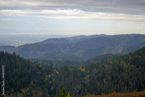 Beautiful view from a mountain in the Black Forest © michaelheim