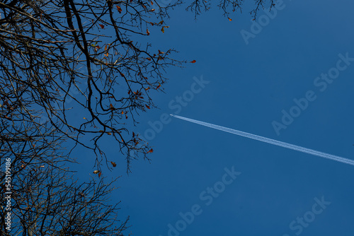 sky  plane and tree