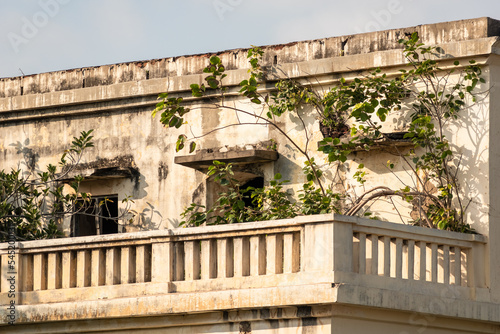 Balcony of an old French era bungalow overgrown with plants in the heritage town of Pondicherry.