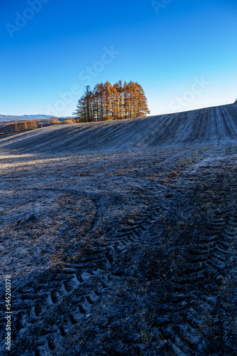 Japanese larch hills of Tsumagoi Kogen in autumn. photo