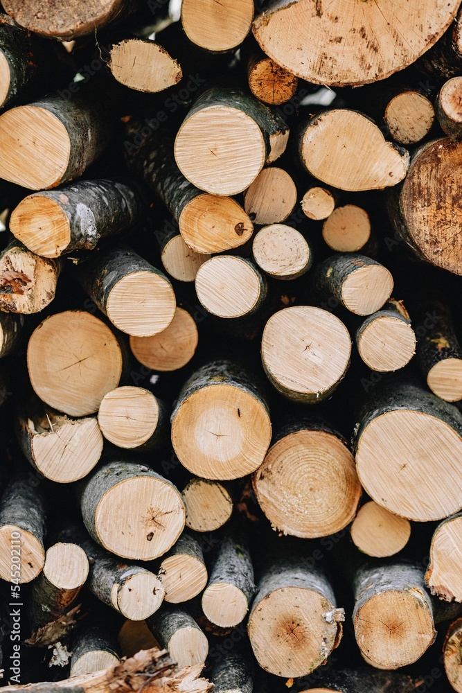 Vertical shot of stacked and cut firewoods Vertical shot of stacked and cut firewoods