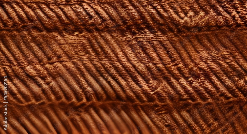 Natural texture background. Pattern of closed up surface textile canvas material fabric