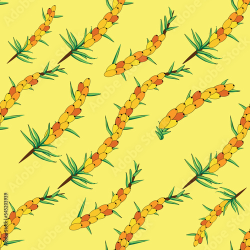 Sea buckthorn seamless pattern. Twigs with berries and leaves. Template with orange fresh berries for wallpaper