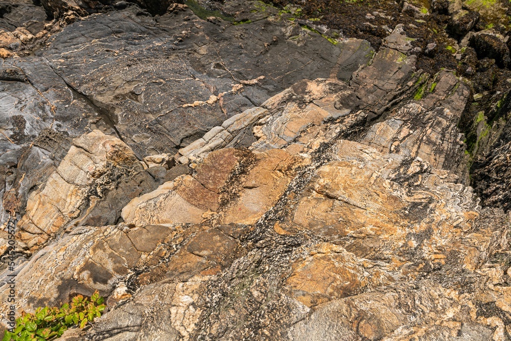 Closeup of a natural stone with white mossy stripes and orange colors, uneven surface