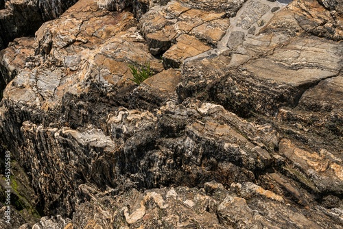 Closeup of a natural stone with white mossy stripes and orange colors, uneven surface